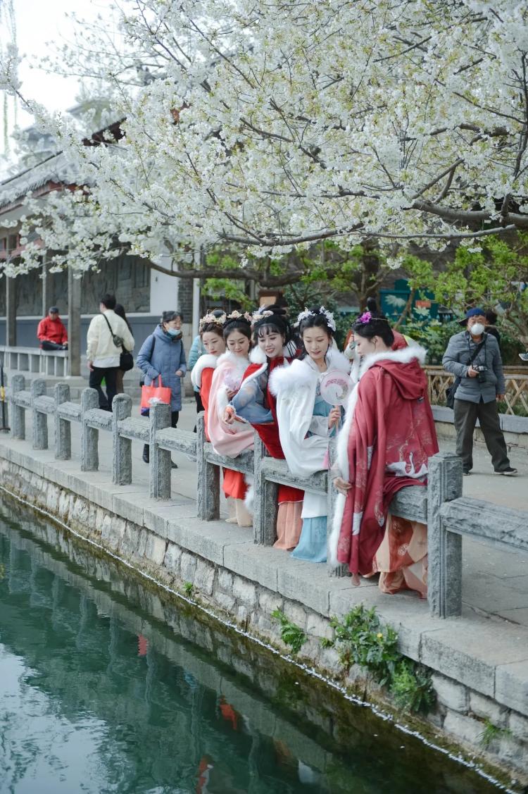 “济南春光好” 泉城春游指南发布 第一期春游正当时：踏青赏花 露营采摘