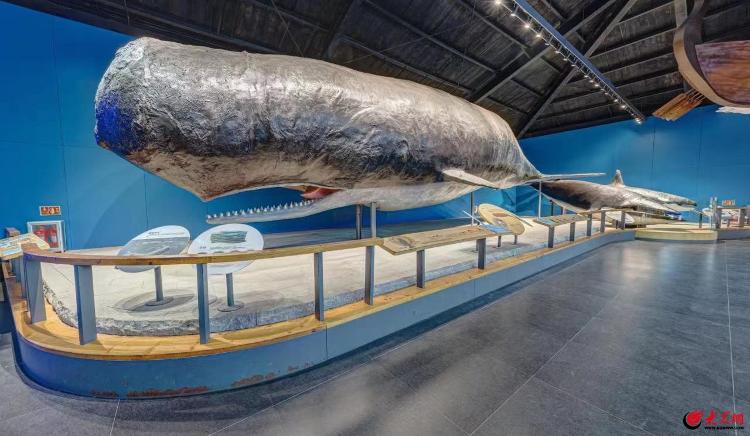 青岛水族馆亦称青岛海产博物馆,青岛海洋科技馆,是我国海洋科普的重要