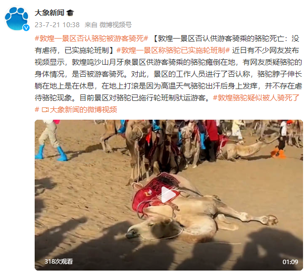 敦煌一景区否认供游客骑乘的骆驼逝世：没有优待，已施行轮班制