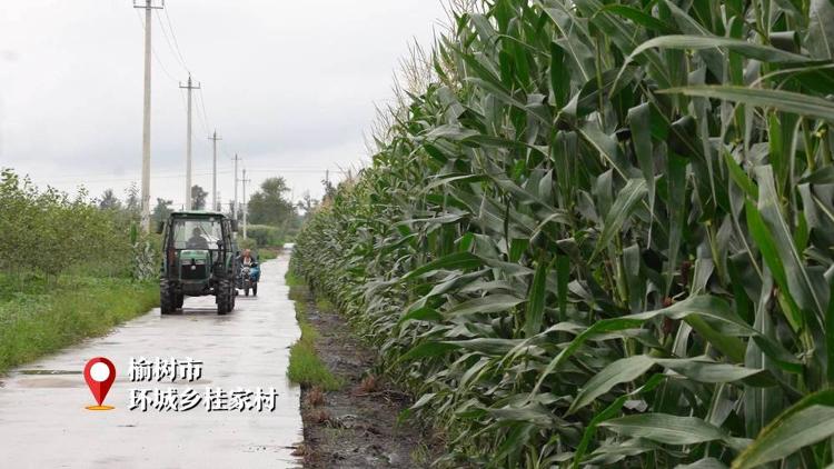 新华视点｜因灾施策、复产稳产——吉林产粮大县十村镇探访记火狐电竞APP 火狐电竞官方网站(图6)