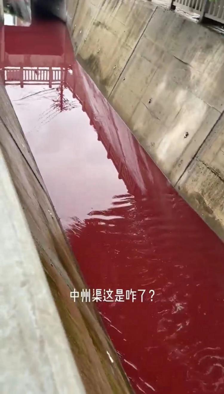 洛阳中州渠渠中流淌红色的水？水利局：已介入调查