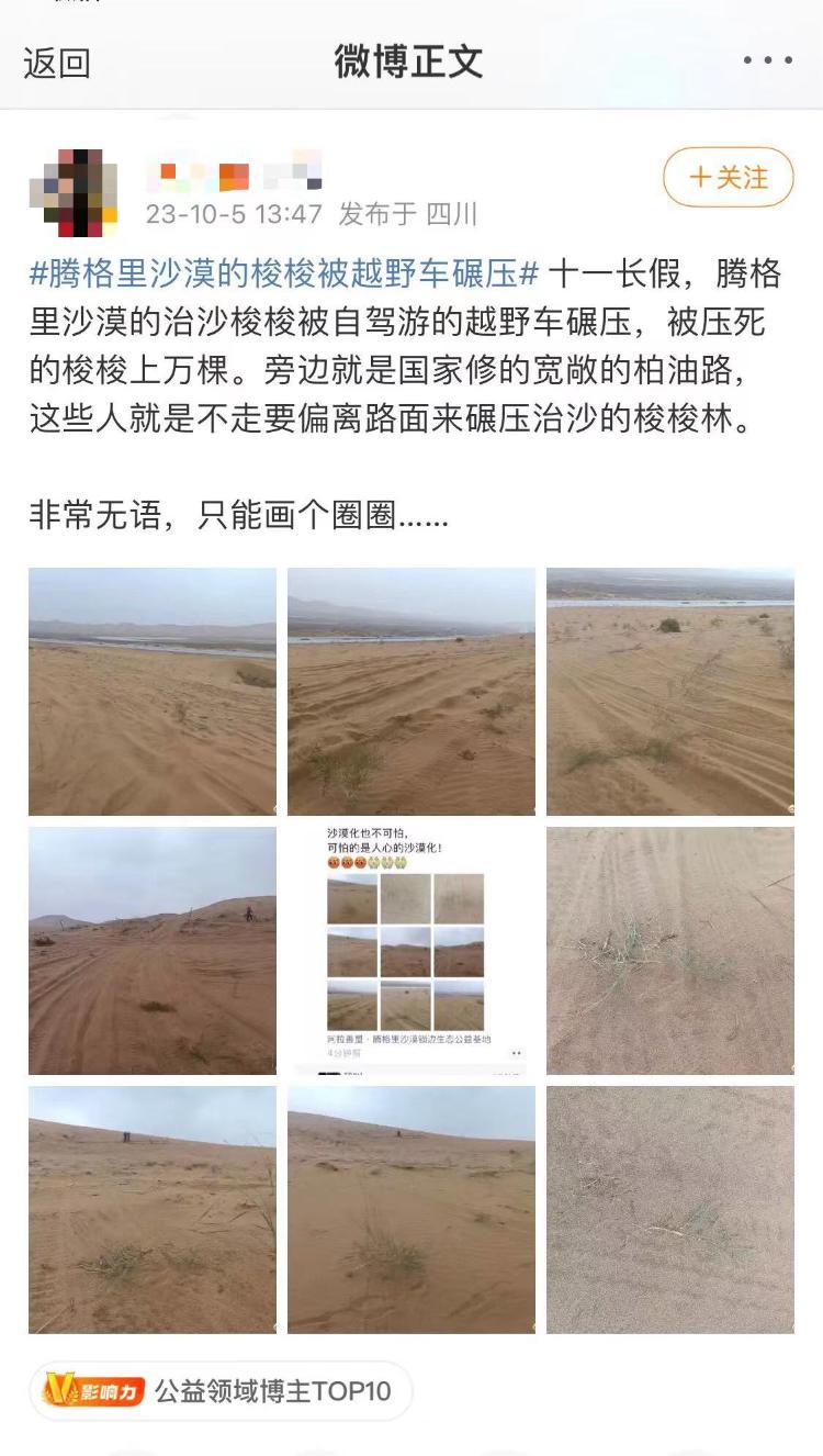 阿拉善腾格里沙漠治沙植物被游客碾压？绿化基金会：正在清查损失情况