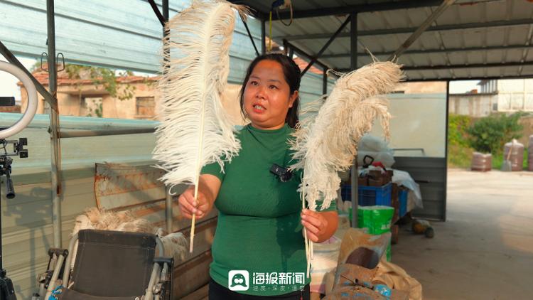 农业致富好项目_致富经.._穷人如何致富秘诀穷人致富