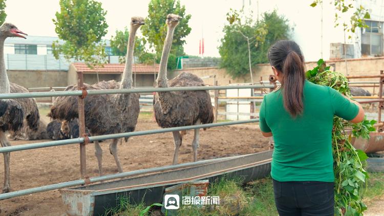 农业致富好项目_穷人如何致富秘诀穷人致富_致富经..