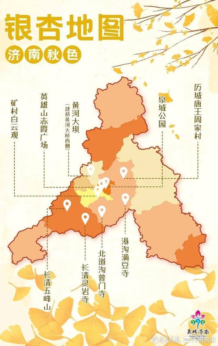 2023济南赏银杏地图来啦！准备好一起去打卡了吗_泉城新闻_大众网