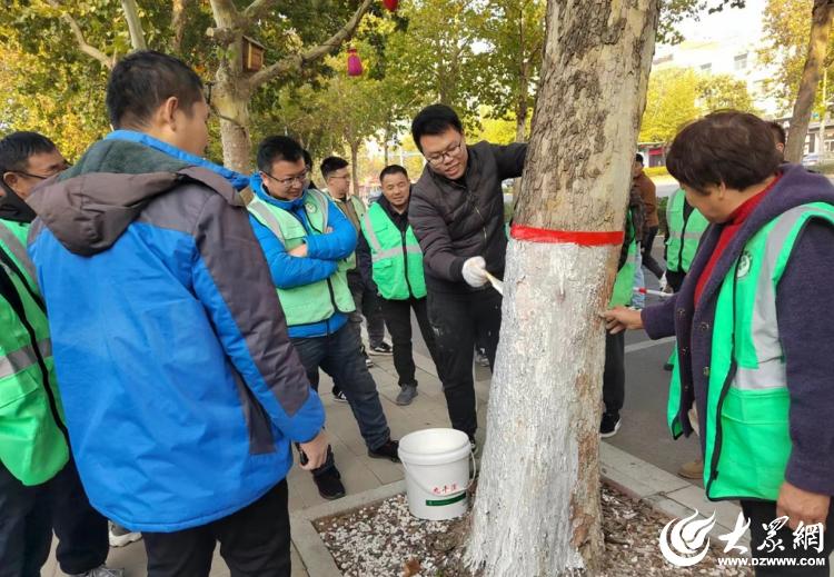 德州园林开展植物防寒技术培训 保障苗木温暖过冬_大众网(图1)