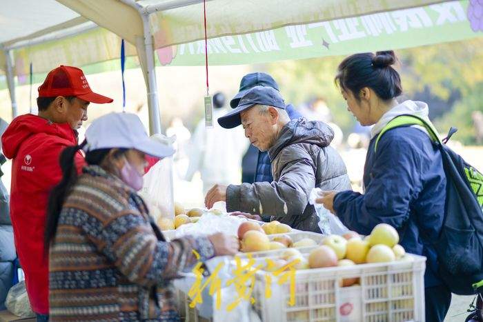 来最美共享绿地品初冬丰收的味道