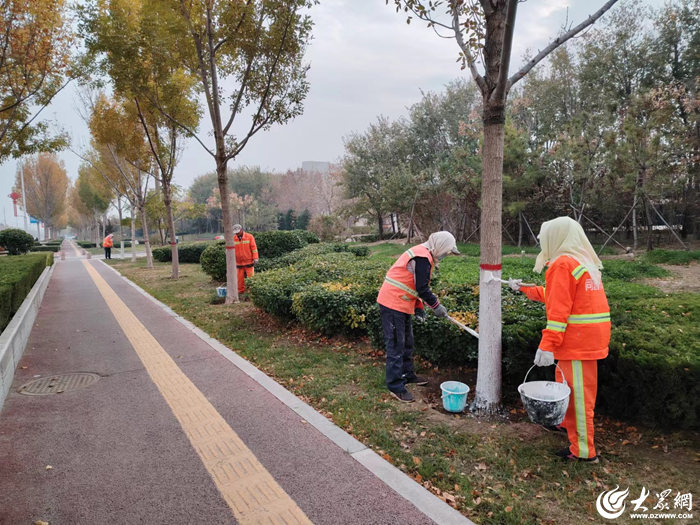 河口區物業市政公司加強冬季綠化養護讓綠植安全越冬