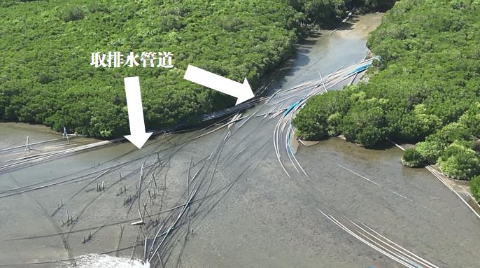 半岛官网保护区海滩被割裂、养殖尾水直排入林——海南部分地方红树林生存环境受威胁(图2)