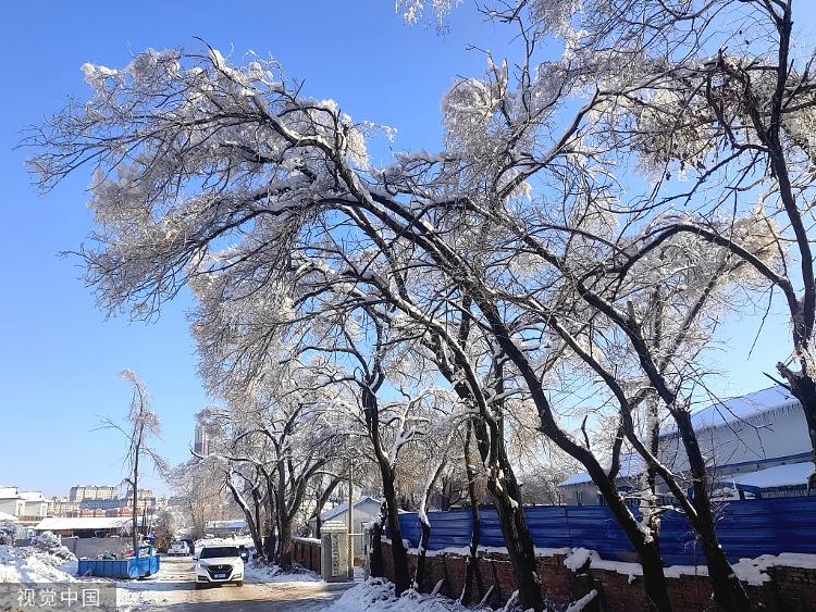 罕見冰凍預警上次還是在10年前山東有凍雨新一輪強冷空氣下午到貨