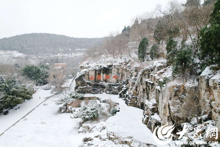 組圖丨銀蝶飄舞梁山縣水泊梁山風景區迎瑞雪