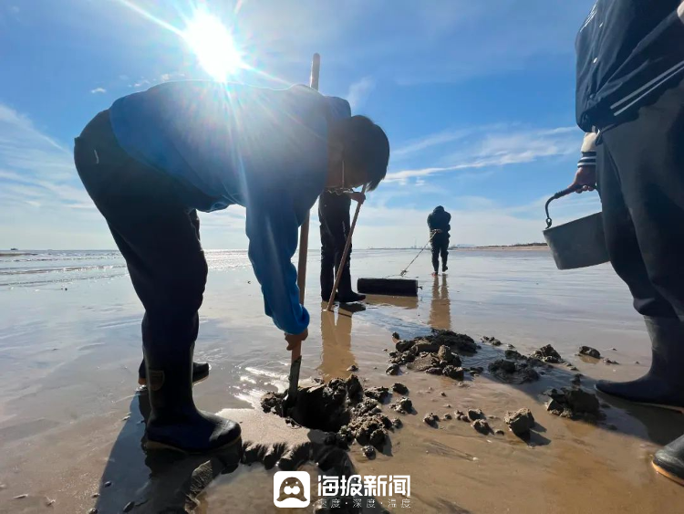 冬季來日照的n個理由速成指南在劉家灣趕海園教你如何挖蟶王