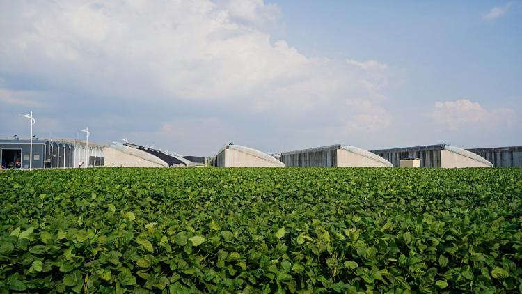 og真人厅两年开建过亿项目80个！青岛抓牢“牛鼻子”闯出乡村产业振兴特色路