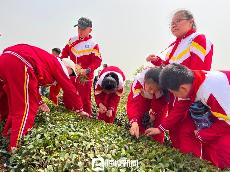 日照老師為學生準備生日驚喜的背後是三方為愛的共同奔赴