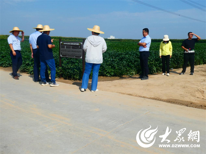 垦利区合美东九农业种植基地：把示范场建成农业科技示范的展示窗(图2)