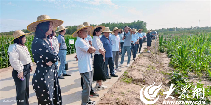 垦利区合美东九农业种植基地：把示范场建成农业科技示范的展示窗(图1)