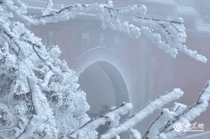 泰安雪景图片