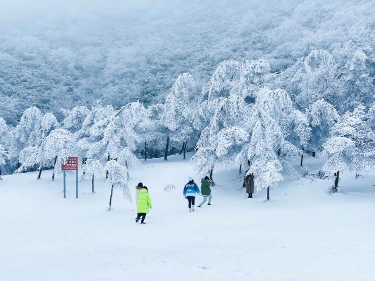 巫溪红池坝滑雪场门票图片