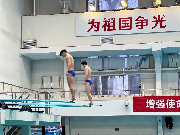 中国跳水队宣告多哈世锦赛参赛名单