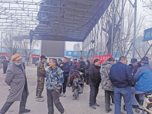 节后开工首日，在济南零工市场看见农民工的新春期待