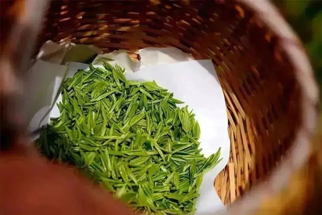 位居排行榜前十的分别是日照绿茶,菏泽牡丹,烟台苹果,莱阳梨,平阴玫瑰