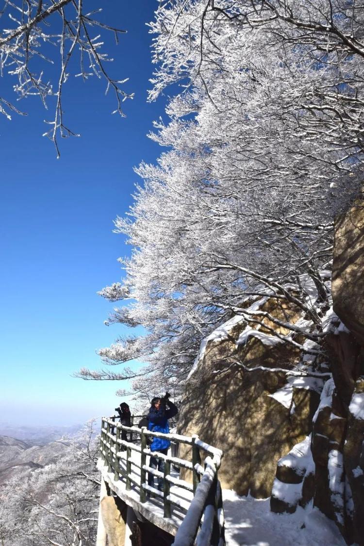 今日雪景美如画图片