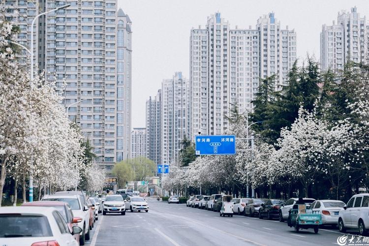 临沂北城新区美景图片