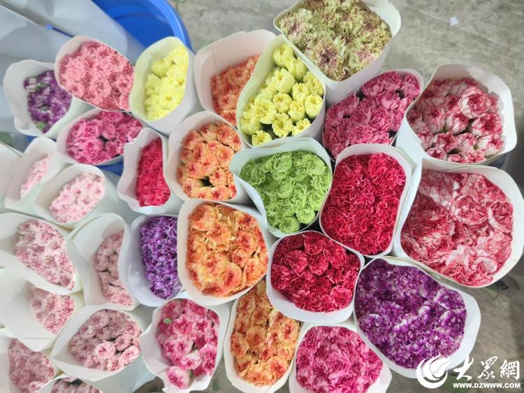 母亲节将至 潍坊康乃馨销售火爆 感恩之花盛开在每个角落