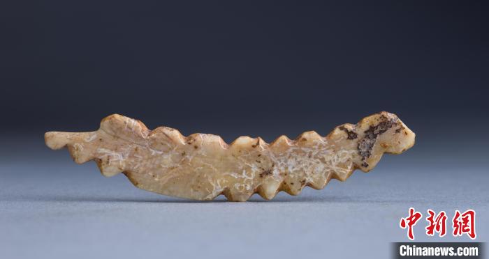 这枚1毫米厚的牙雕蚕，可窥见5300年前农桑文明