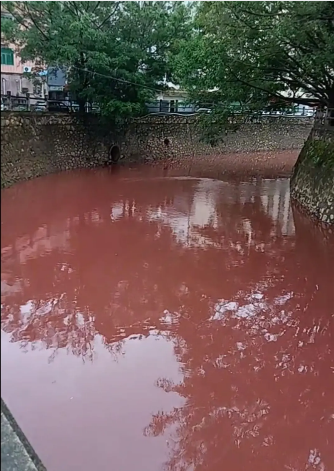 广东惠州紧急处置“水体变红”：已锁定污染源头恢复水质