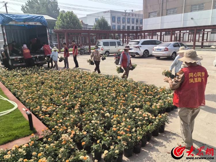 临沂沂河新区妇联“绿满沂蒙花满村”苗木配送活动走进凤凰岭街道(图3)