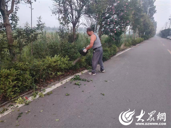 微山县赵庙镇宋峰图片