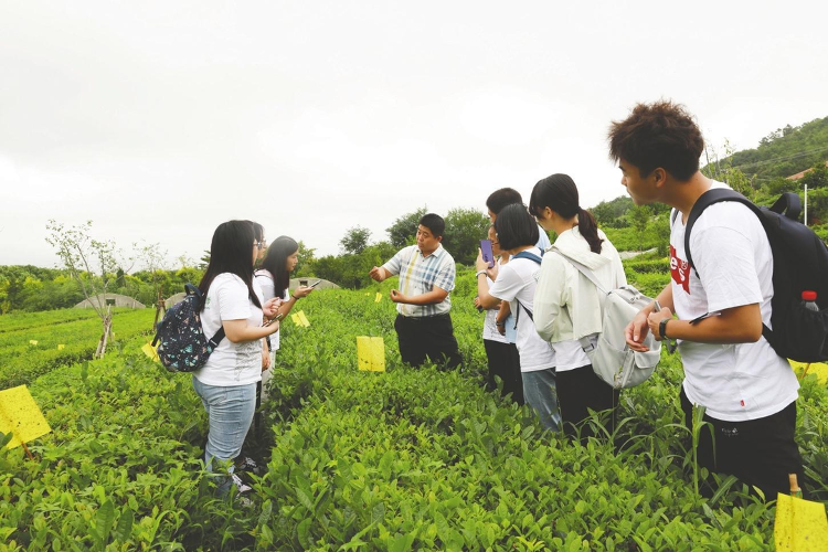 聚焦基层·新闻人物榜丨乡村振兴路上他半岛·BOB官方网站们带头奔跑(图3)