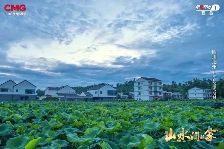 图片[13] - 治愈系宝藏综艺《山水间的家》第三季回归！一溪云影，千重翠色，共绘田园诗画！ - 网络动向论坛 - 吾爱微网