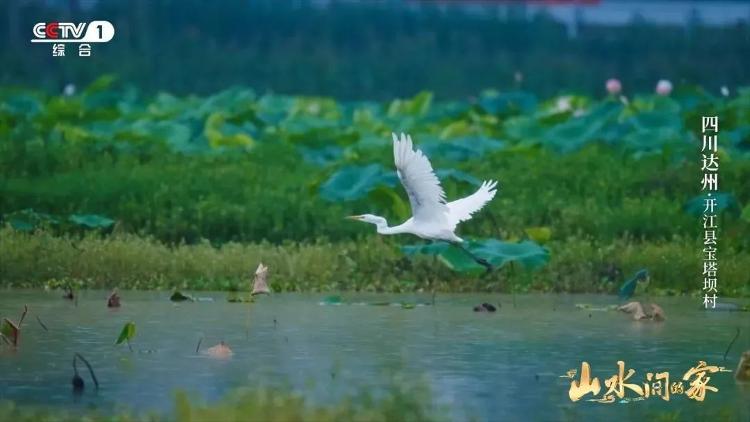 图片[20] - 治愈系宝藏综艺《山水间的家》第三季回归！一溪云影，千重翠色，共绘田园诗画！ - 网络动向论坛 - 吾爱微网