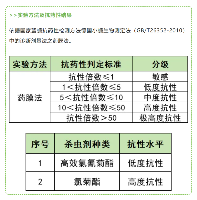 广东蟑螂已“进化”？疾控部门回应