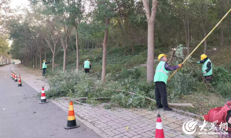 绿色护航 德州园林打造靓丽“德马”赛道大众网开云电竞下载(图1)