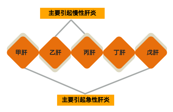 ,目前世界上一共存在五种病毒性肝炎:甲乙丙丁戊,甲肝乙肝大家都知道