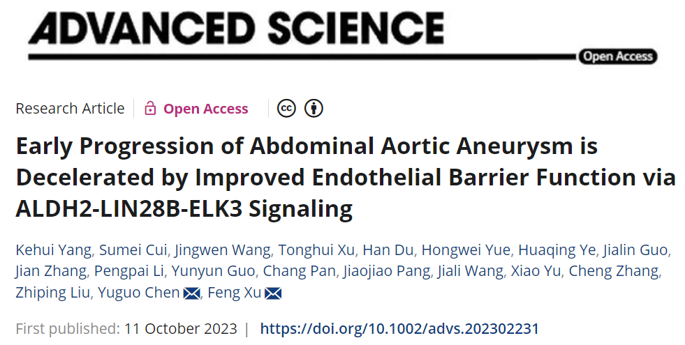陈玉国/徐峰教授团队发现内皮细胞ALDH2调控腹主动脉瘤早期进展的重要机制