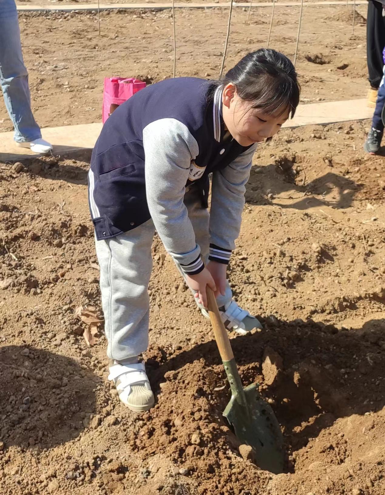 种下一棵树,洒下一片爱—山东师范大学附属小学2023级6班植树节活动