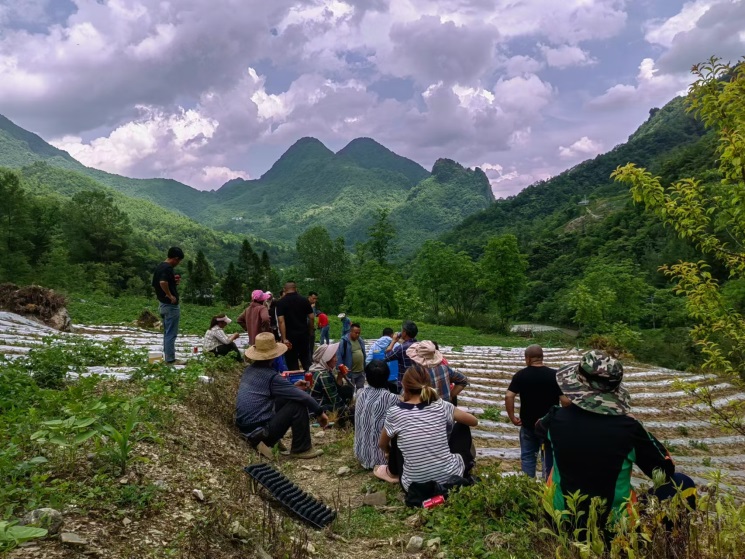 中国人寿丨走好巴蜀大山里的乡村振兴路